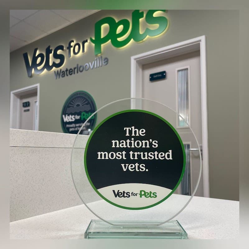 Vets4Pets Waterlooville, Hambledon