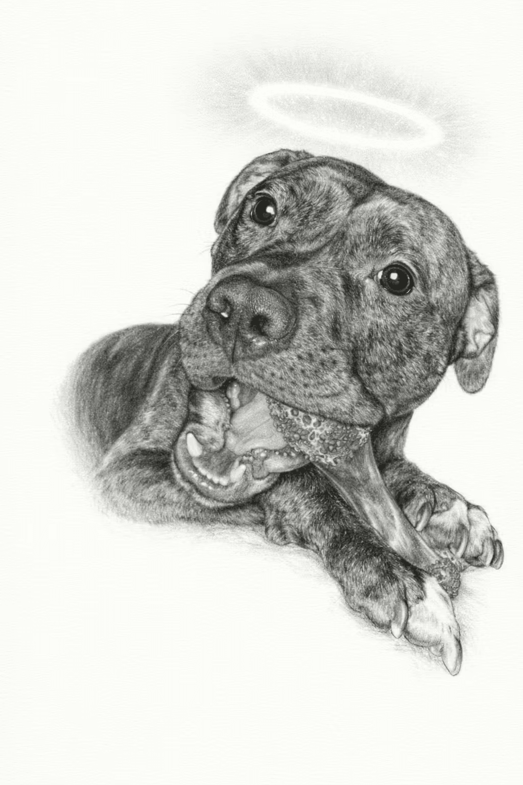Custom Pet Portrait - From £6
